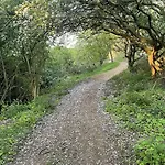 Bluebell - Part Of The The Bay Village With Pool, Gym And Direct Access, Pub, Restaurant, Tennis And Meadows Walks Filey