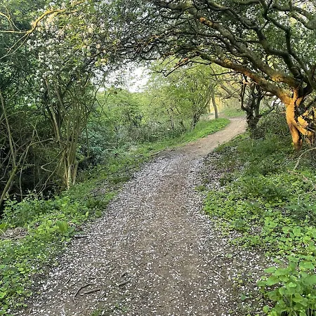 Bluebell Filey