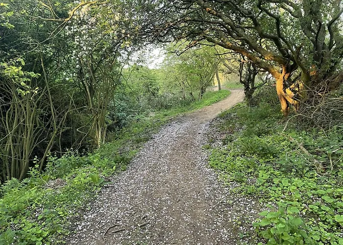 Bluebell - Part Of The The Bay Village With Pool, Gym And Direct Access, Pub, Restaurant, Tennis And Meadows Walks Filey