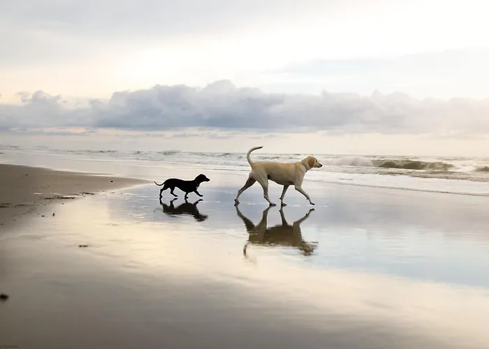 Bluebell - Part Of The The Bay Village With Pool, Gym And Direct Access, Pub, Restaurant, Tennis And Meadows Walks Hébergement de vacances Filey