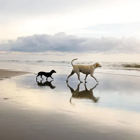 Bluebell - Part Of The The Bay Village With Pool, Gym And Direct Access, Pub, Restaurant, Tennis And Meadows Walks Vakantiehuis Filey